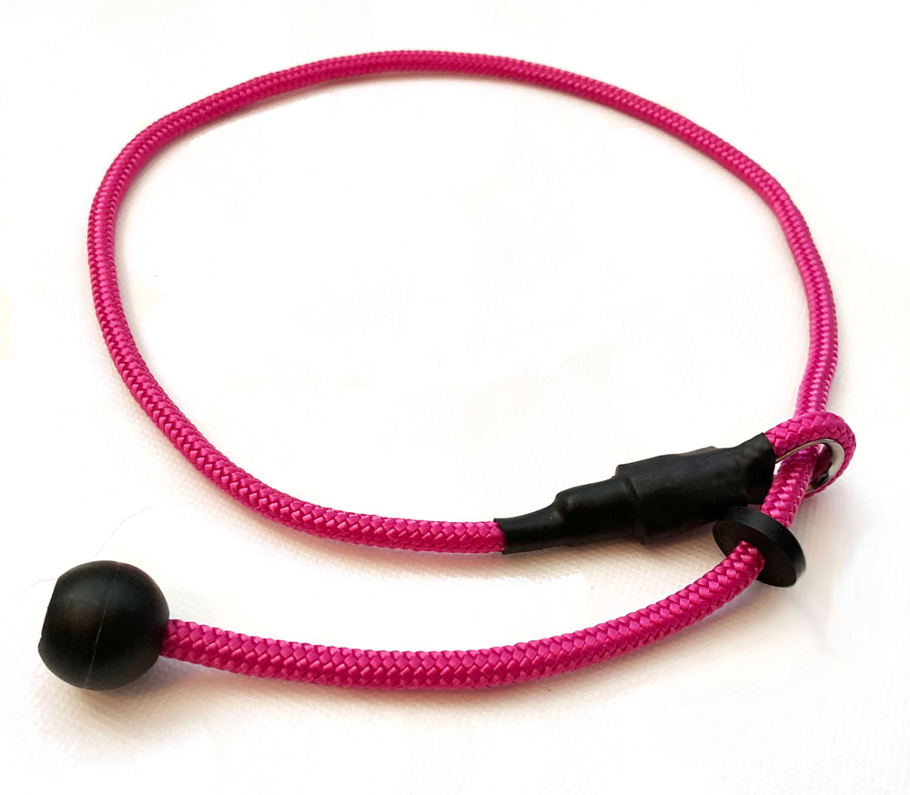 Fuschia