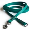 Biothane Long Line in Teal - no hadle
