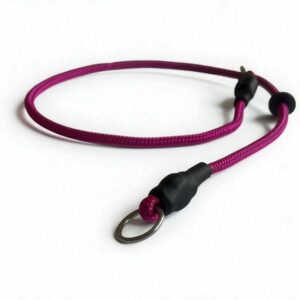 Training Collar