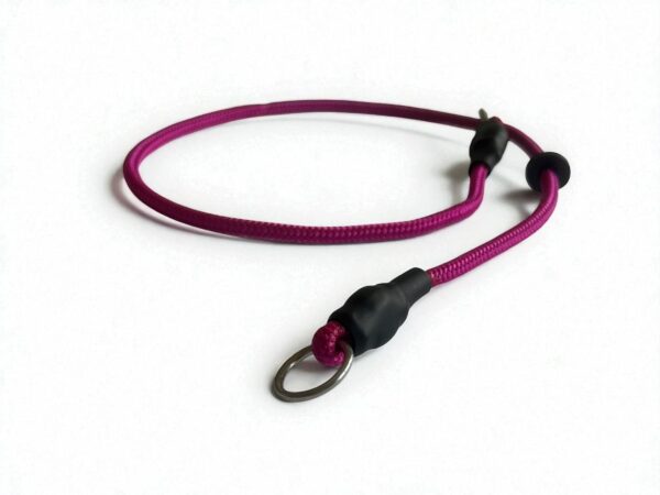 Training Collar
