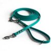 Biothane Long Line in Teal colour