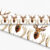 Stag - White