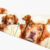 Duck Tolling Retriever