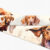 Vizsla